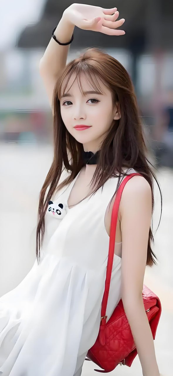 动画番剧